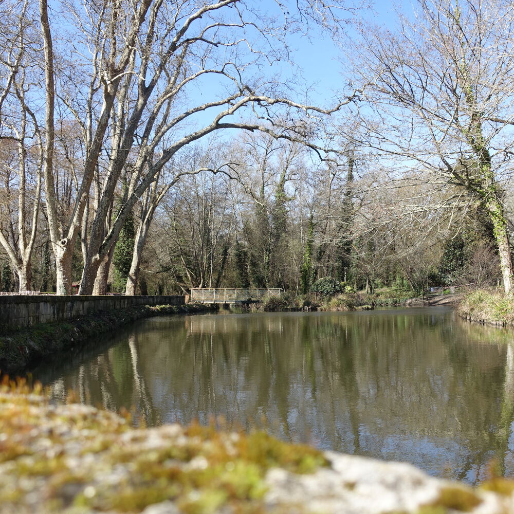 l'eau Bourde au prieuré de Cayac, 2022_MFP