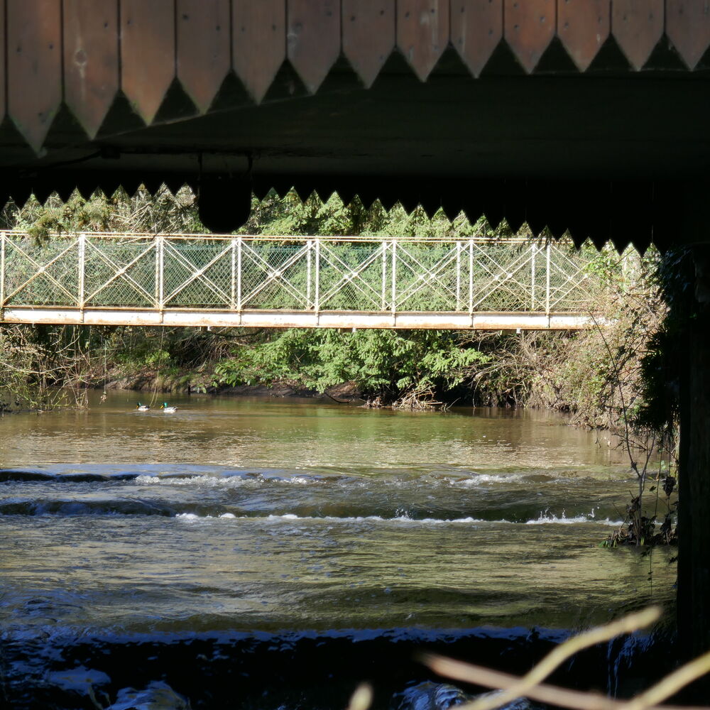 l'eau Bourde passant sous un moulin, 2022_FG