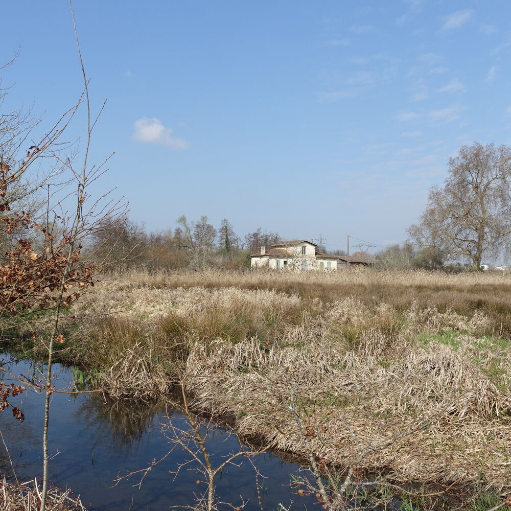 point de vue depuis un fossé, 2022_MFP