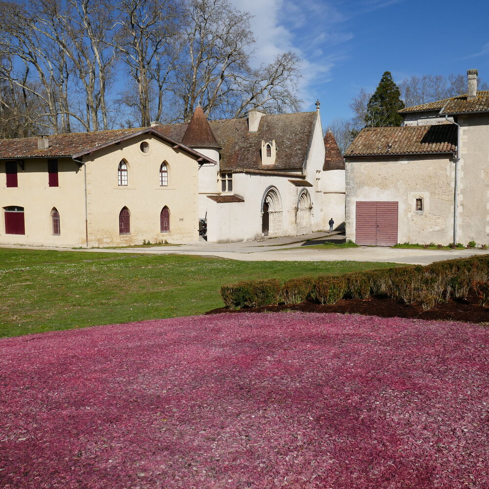 vue d'ensemble, depuis le sud, 2022_FG