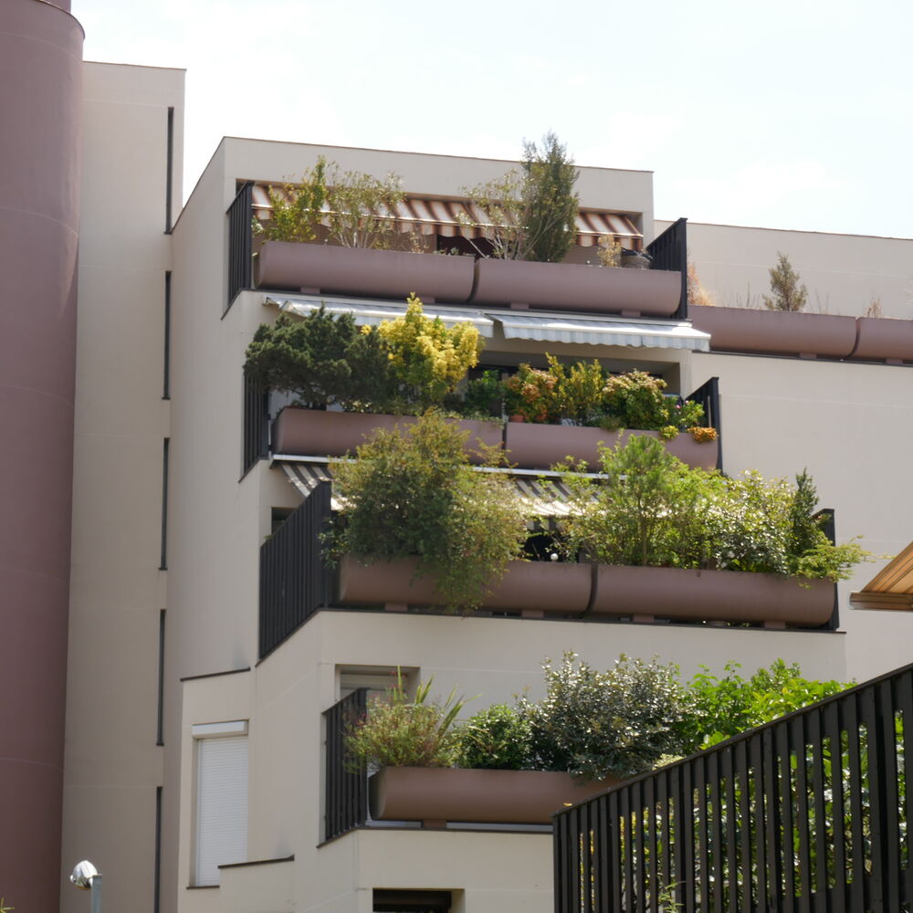 Vue sur les terrasses en gradins