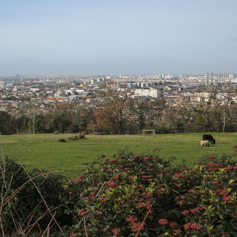 Vue depuis le haut du coteau Cenon, en 2023