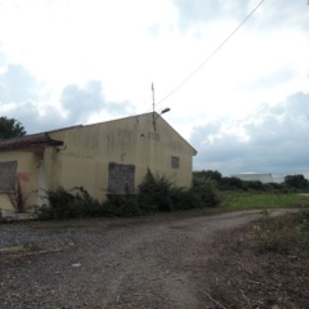 Vue des vestiges de la Chapelle d’Ambes