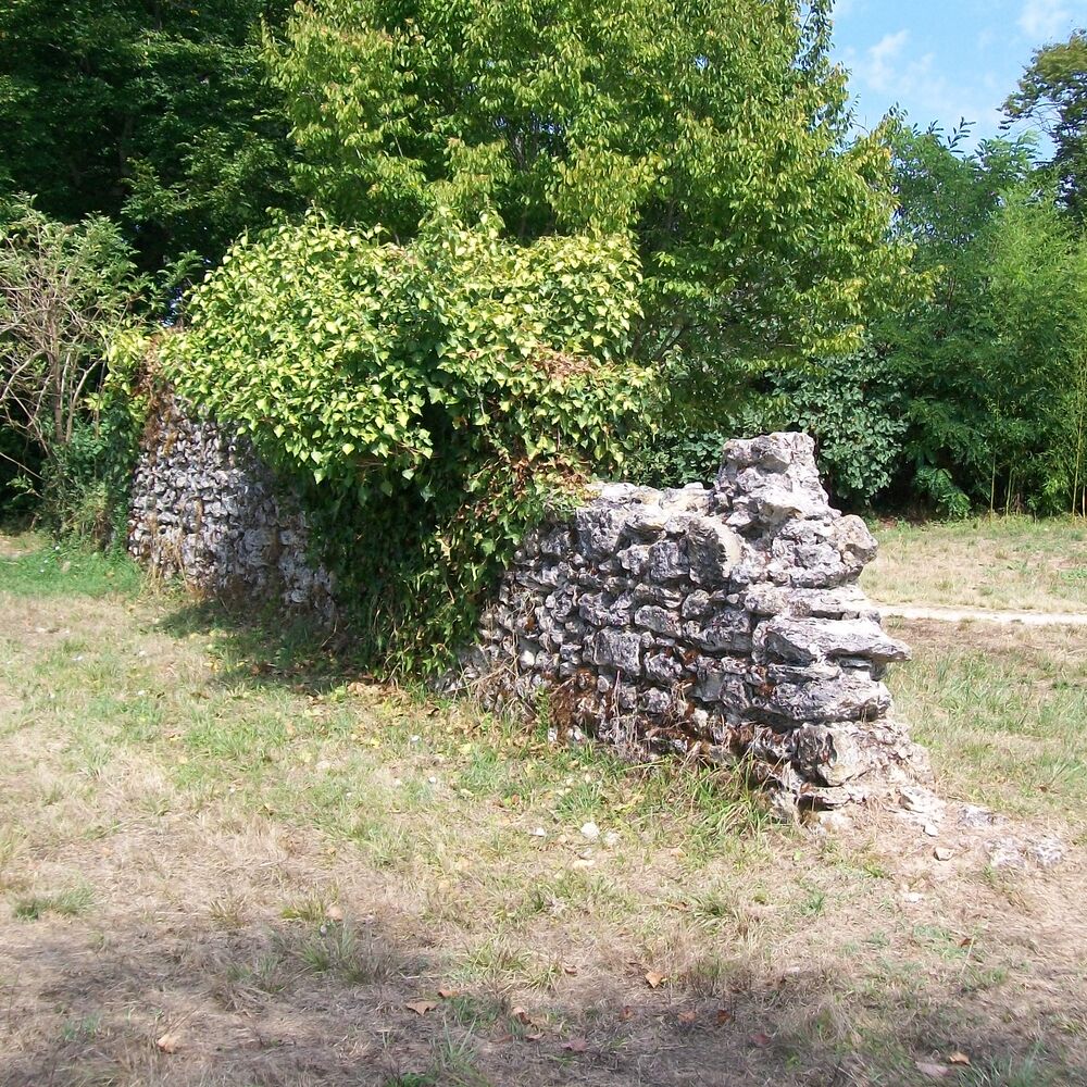 un pan de mur en ruines sous la végétation...