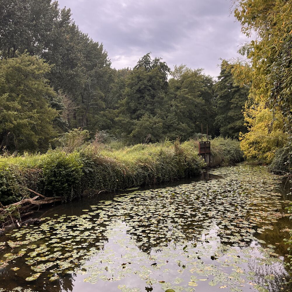 Vue de la Jalle partie amont