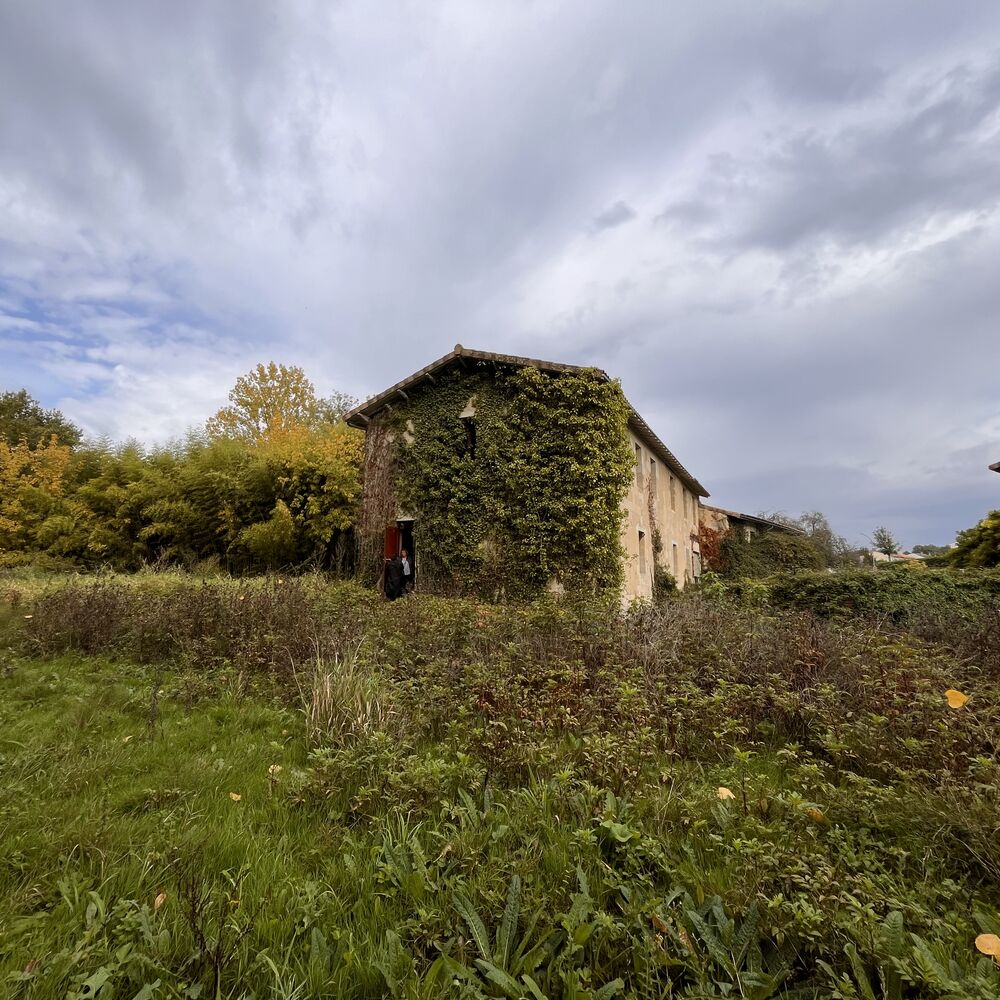 Vue du moulin depuis la rive sud