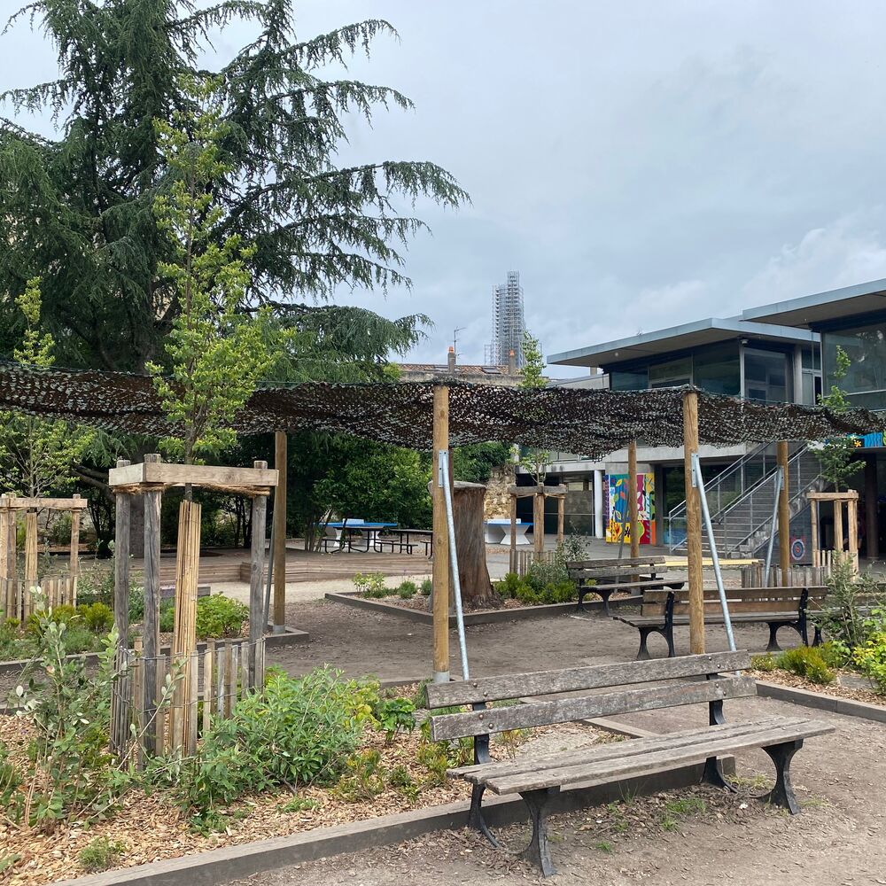 L'école primaire vu depuis la nouvelle cour arborée.