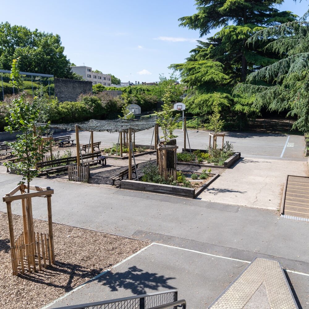 La nouvelle cour arborée de l'école primaire.