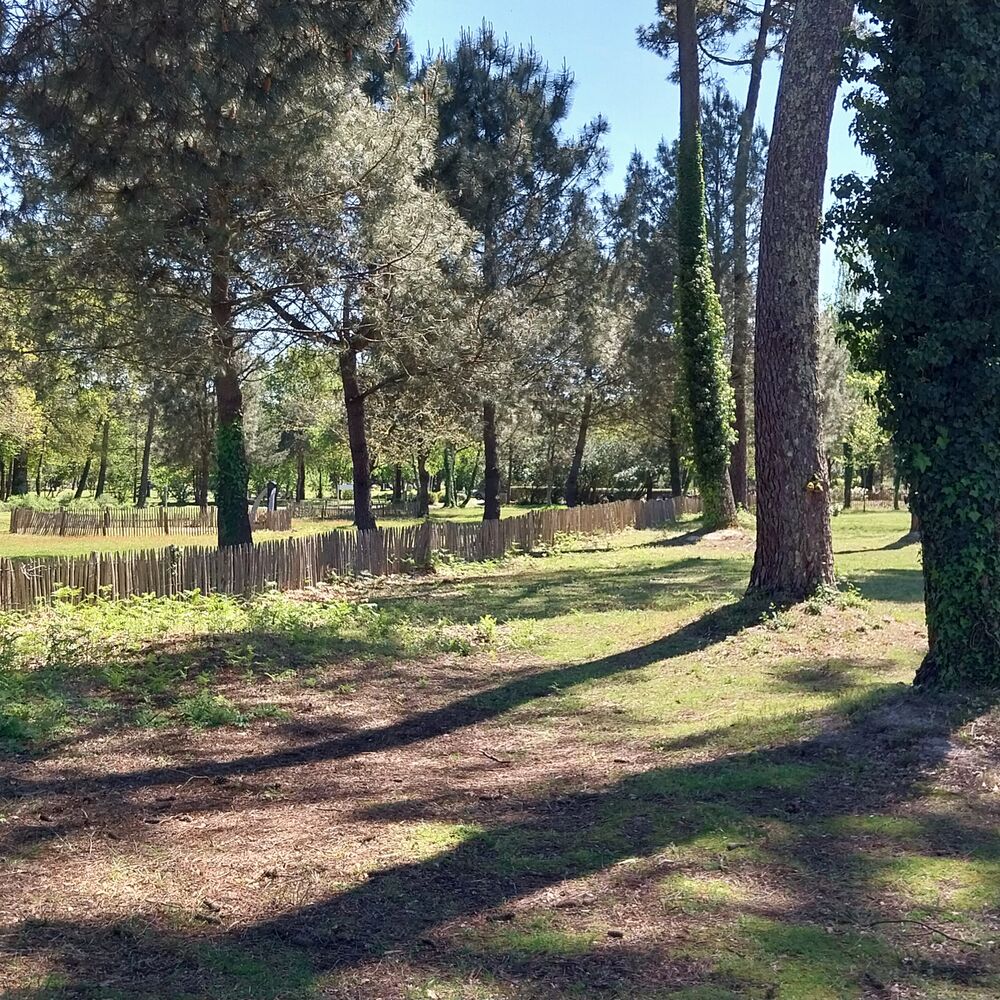 Panorama du parc