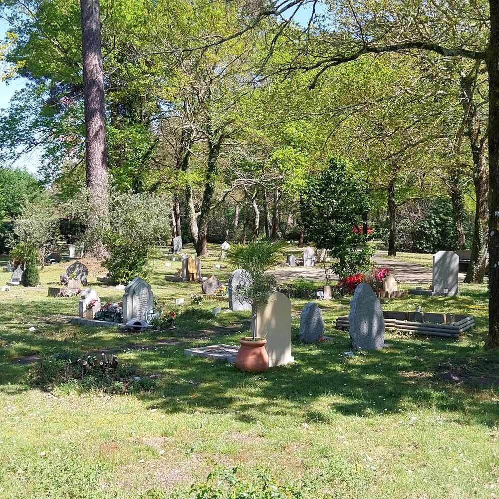 Sépultures