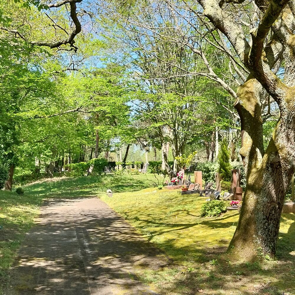 Allée du parc cimetière
