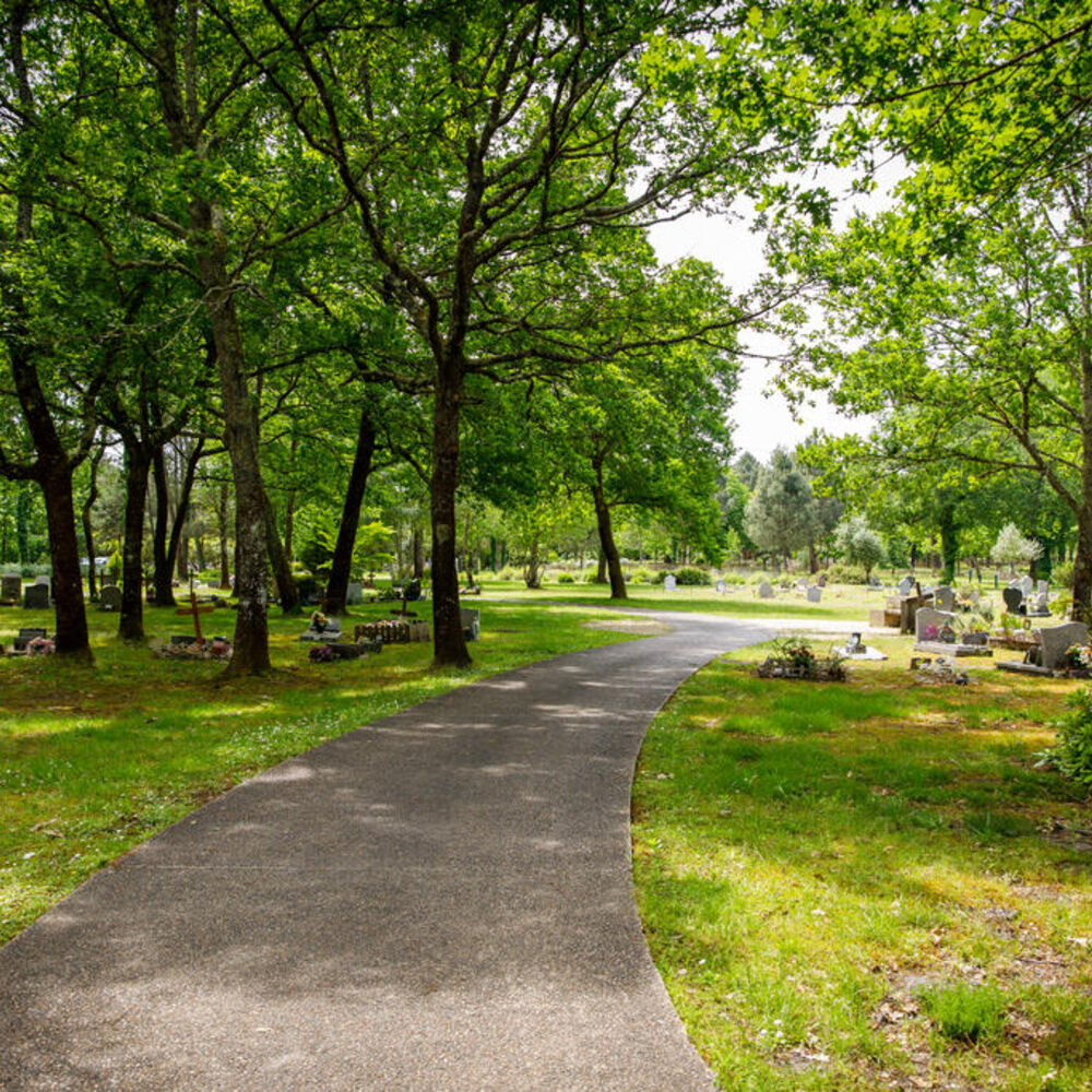 Allée du parc cimetière