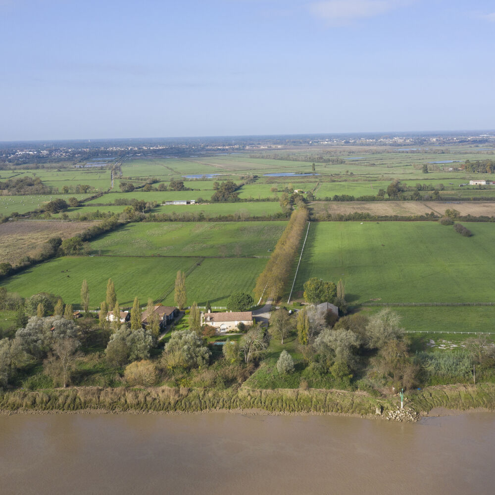 Vue vers Parempuyre au nord de Grattequina