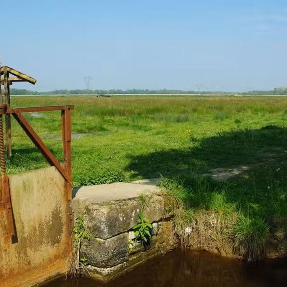 Une jale du Grand Marais. 