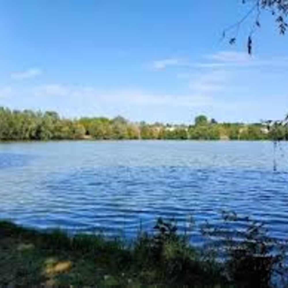 vue du bassin Montsouris