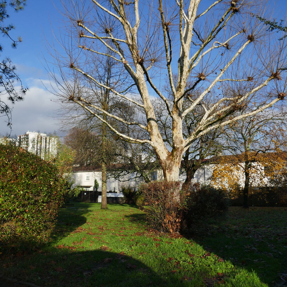 L'un des jardins collectifs de l'opération "Domaine de Saige".
