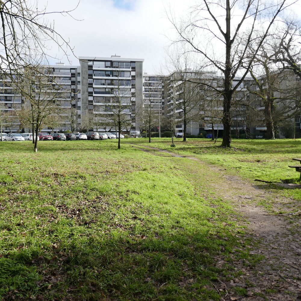 Vue d'ensemble du groupe D depuis le parc à l'ouest.