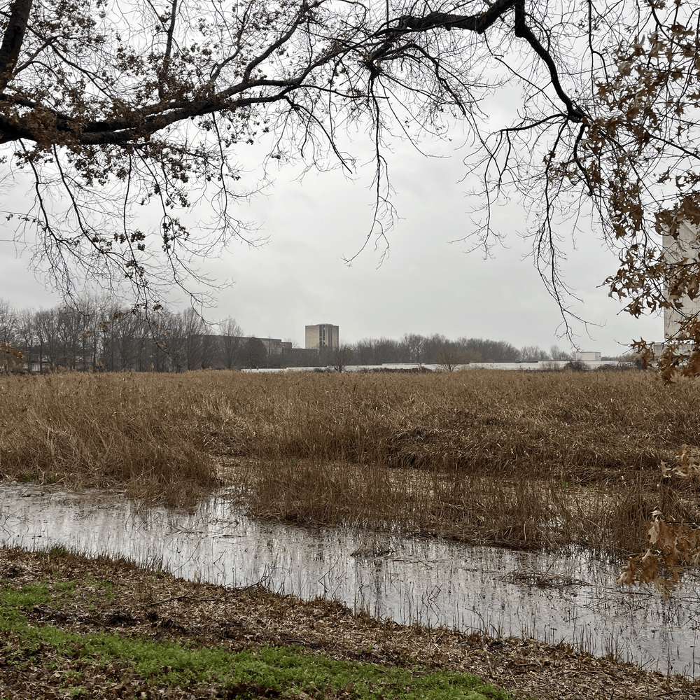 La caisse des dépôts depuis l'avenue de la jallère