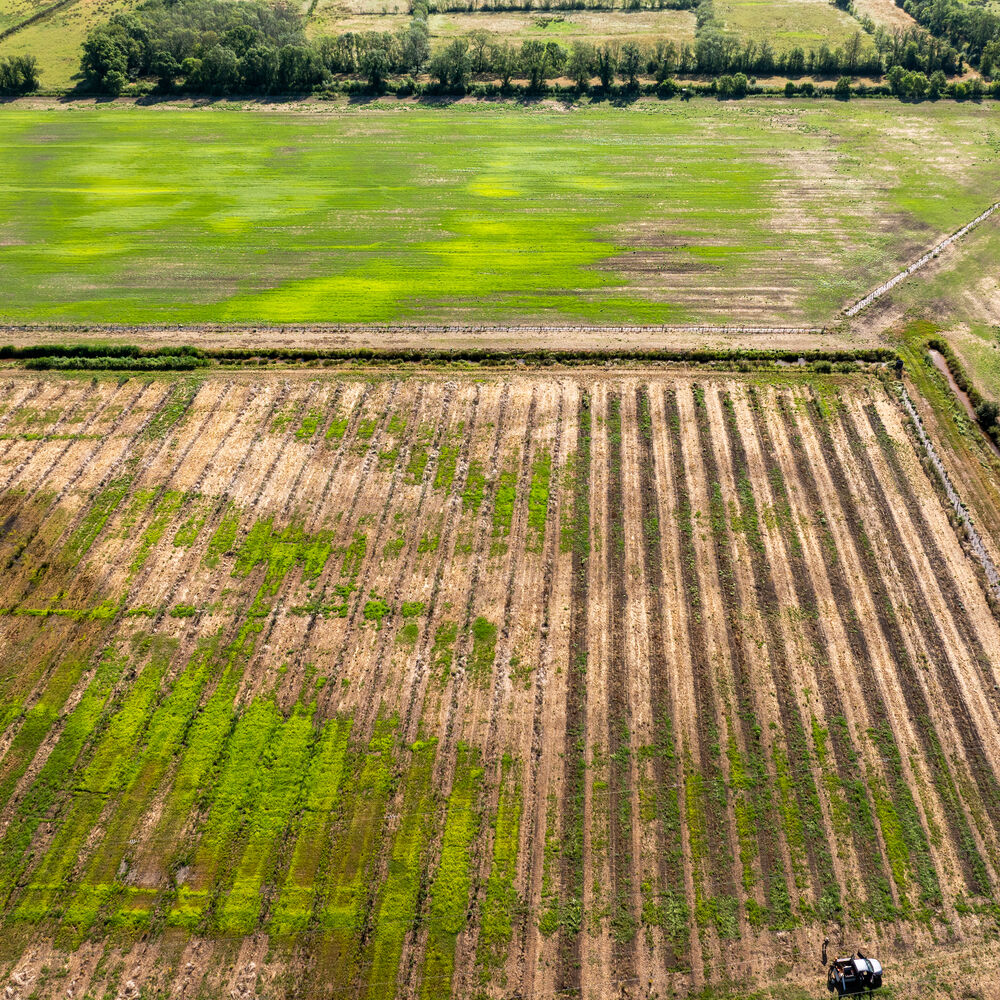 Les nouvelles cultures et la zone biodiversité sur les Marais de Peychaud (juillet 2025)