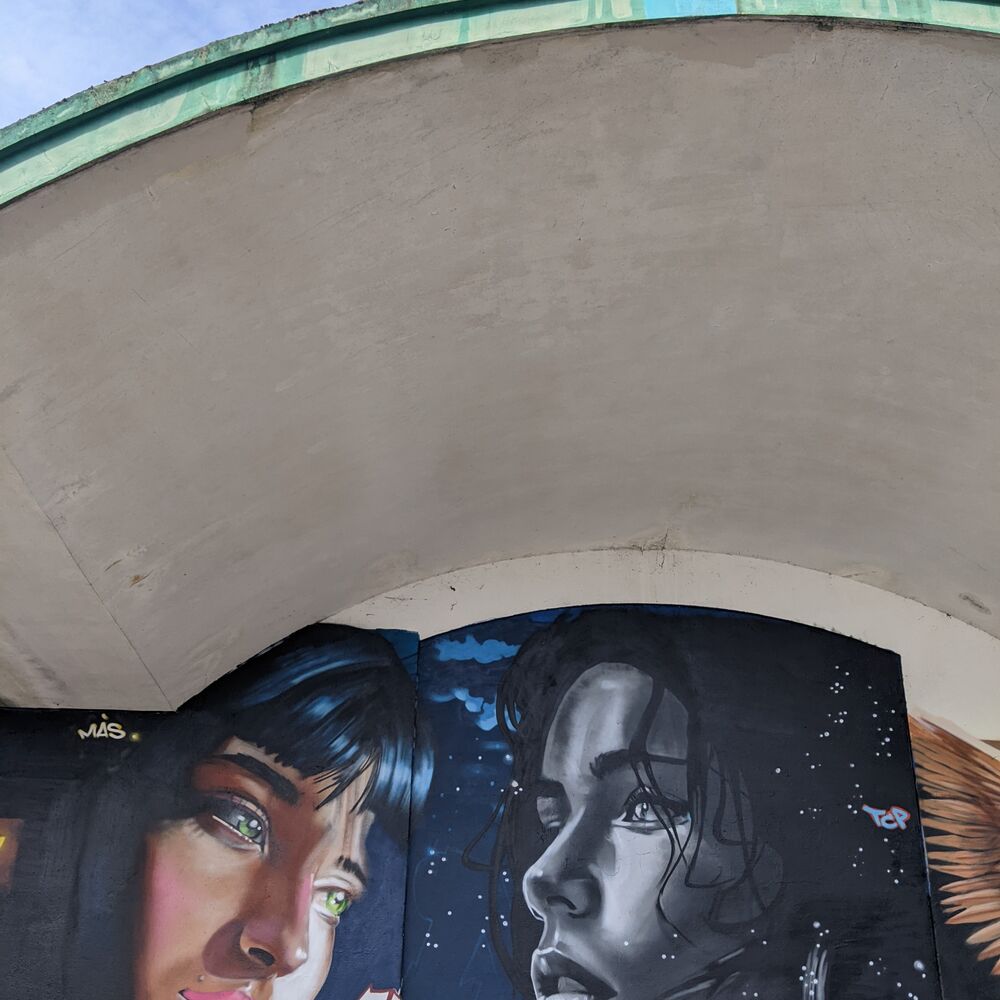 Un des nombreux grafitis sur l'une des entrées couvertes côté avenue Thiers.