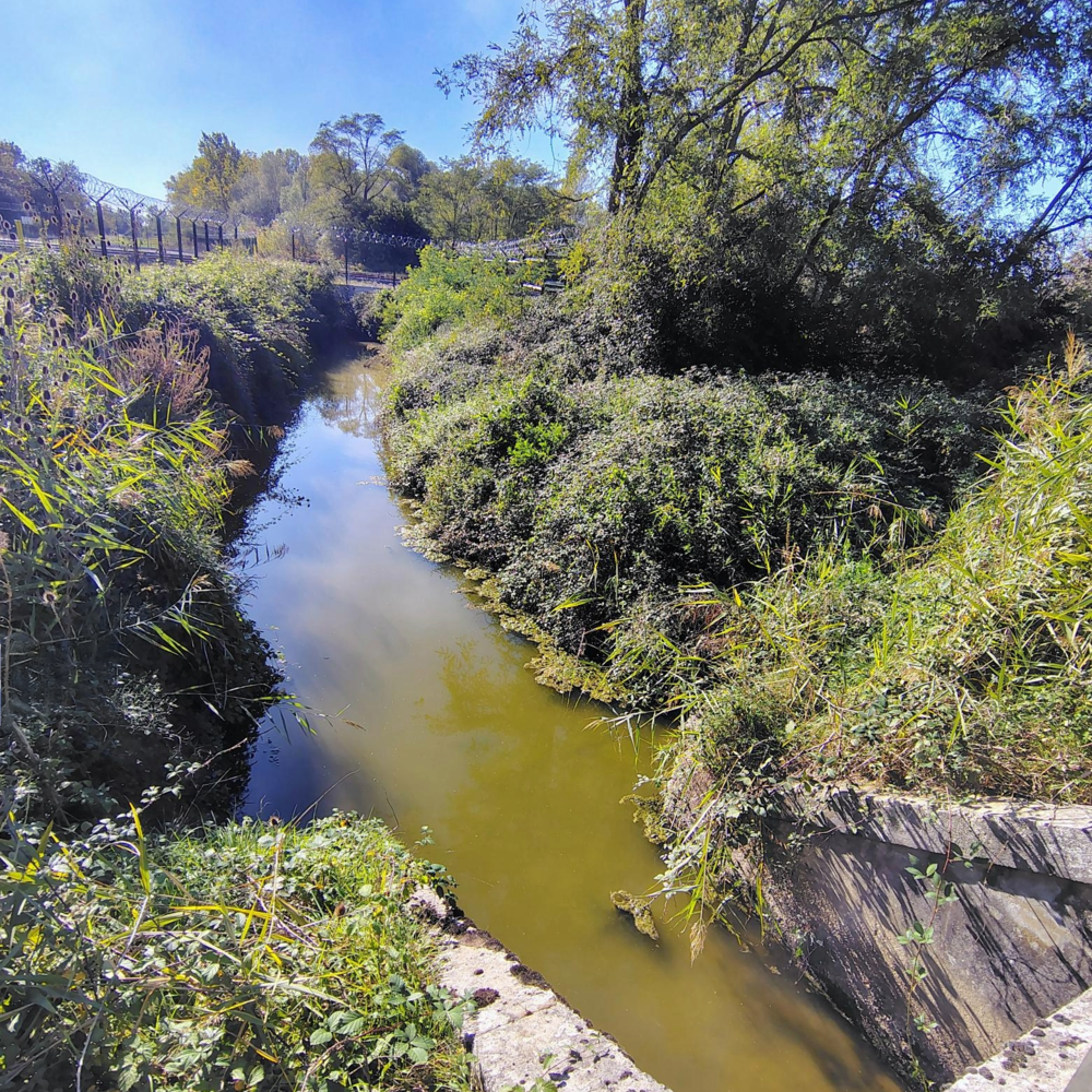 La Gragnodière à l'aval de la voie ferrée, 2025