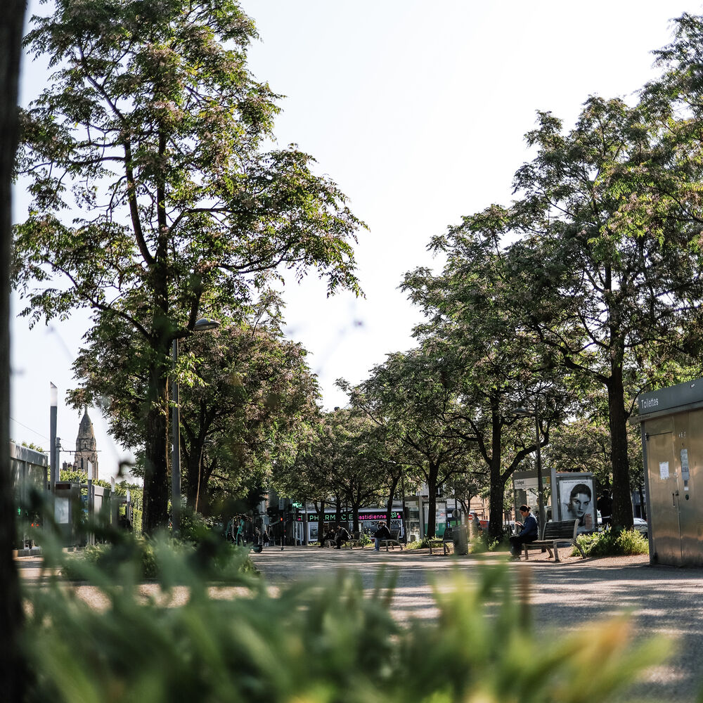 Place Stalingrad, place végétalisée en 2026