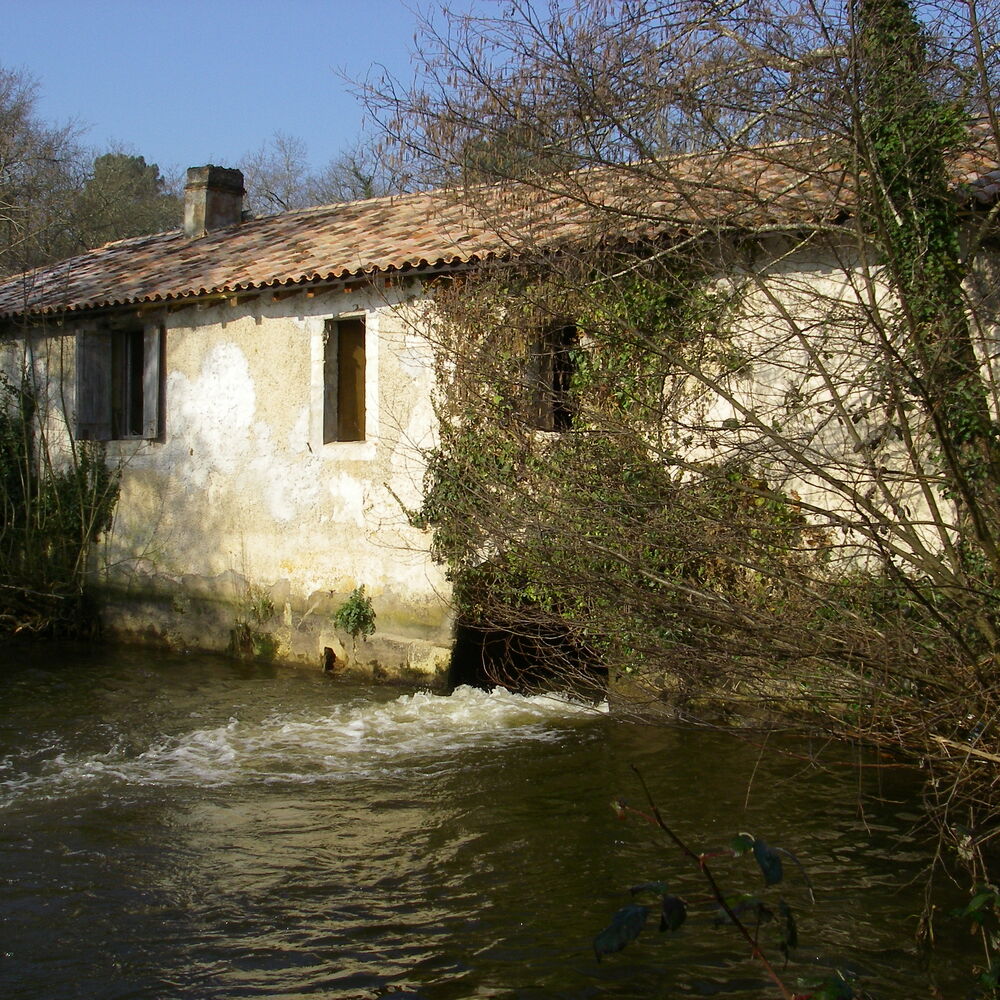 Le moulin, vue de l’aval en 2013.