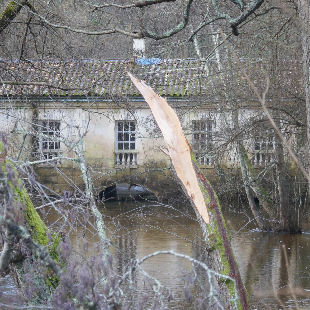 Bâtiment du moulin, vue depuis l’aval en 2024.