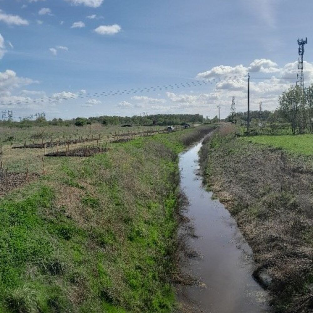 Aval de la jalle des Grillons