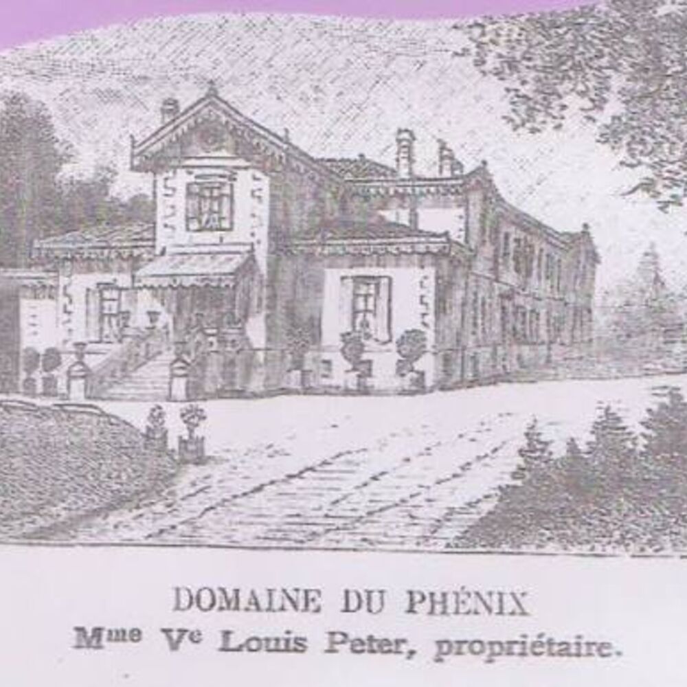 Domaine du Phenix