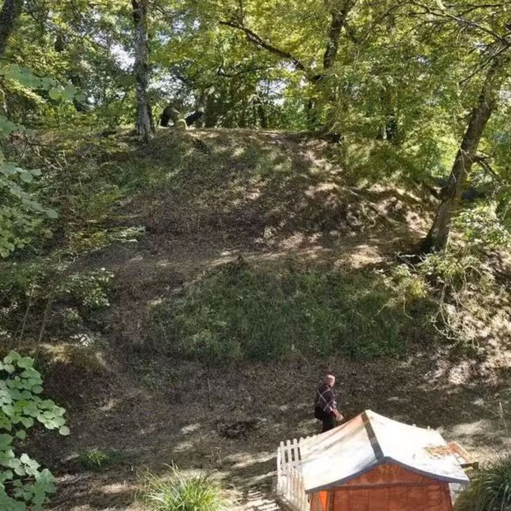  La motte Saint-Albe, nichée sous les arbres