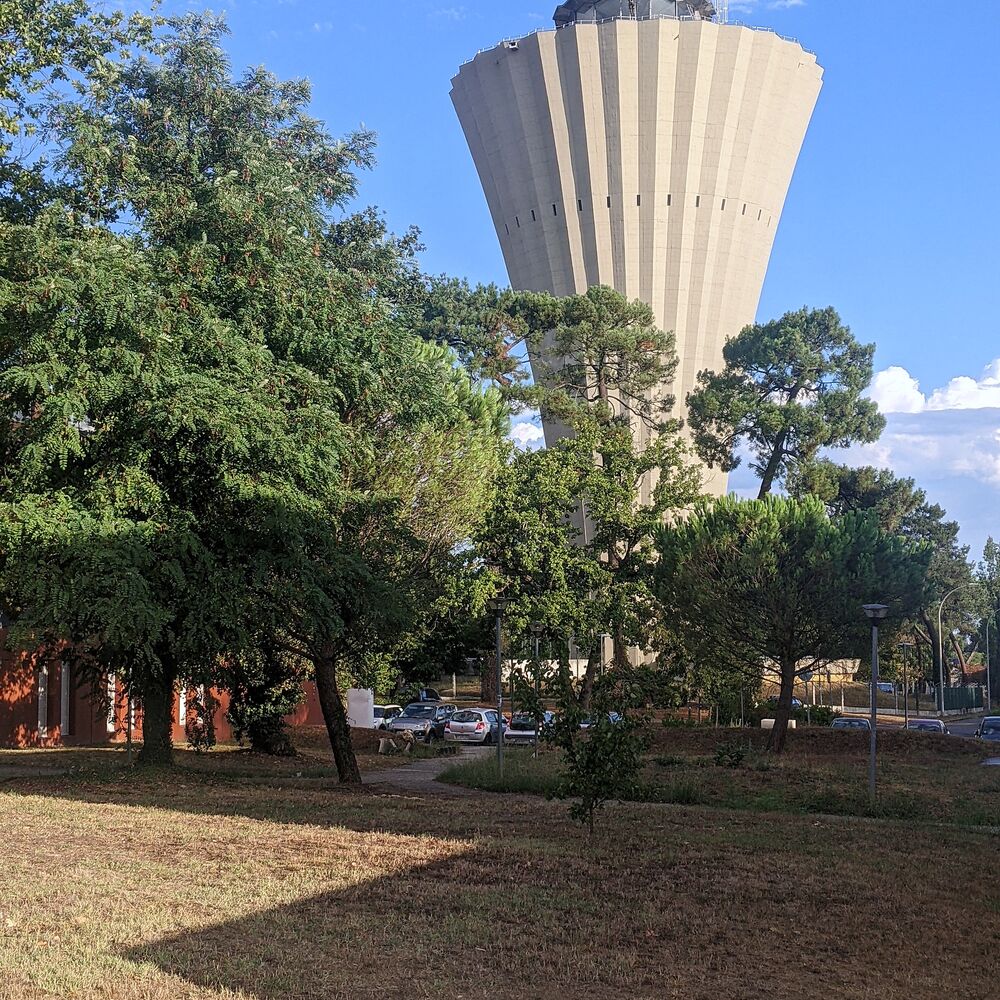 Le château d'eau en béton plissé émergeant des pins.