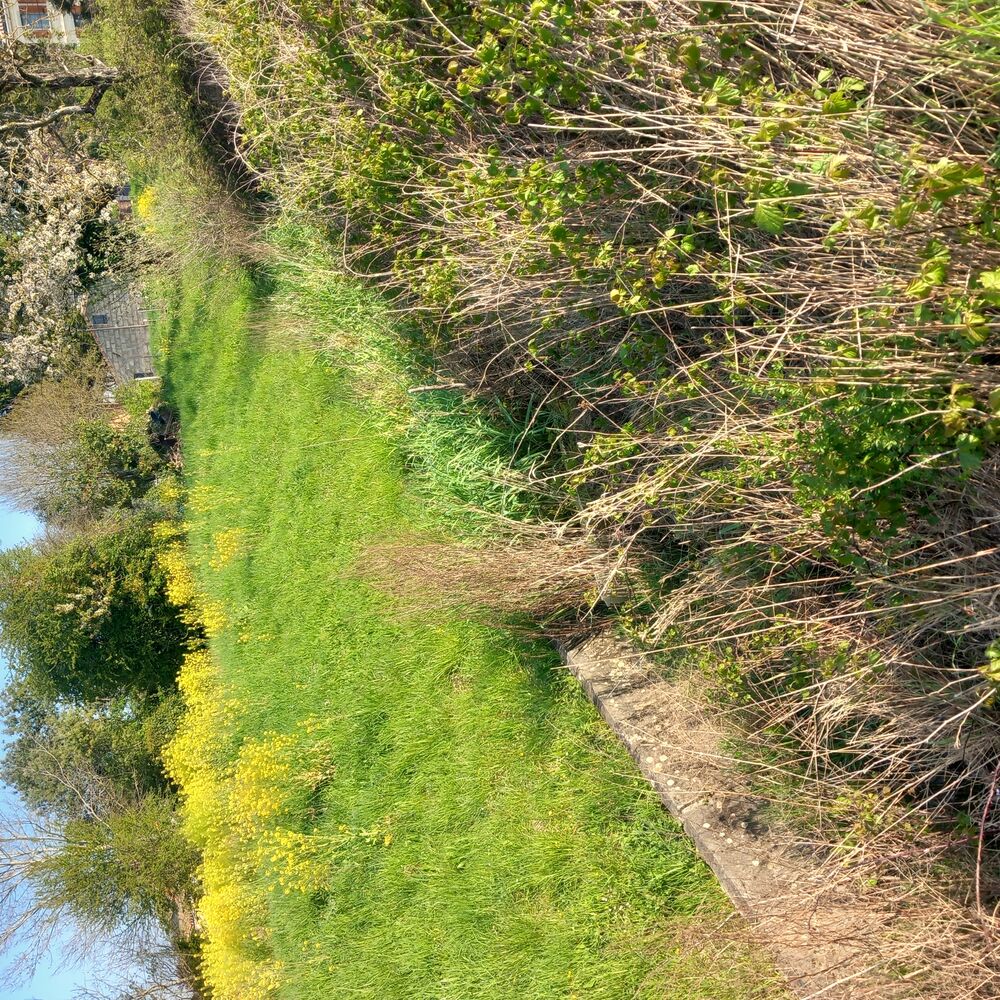 Aval de la jalle cuvelée, 24/03/2026, Bordeaux Métropole
