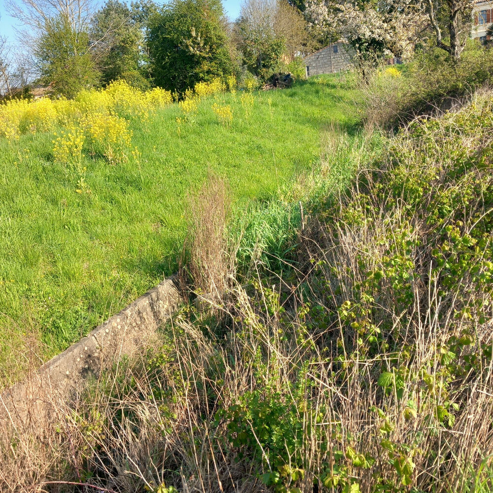 Aval de la jalle cuvelée, 24/03/2026, Bordeaux Métropole
