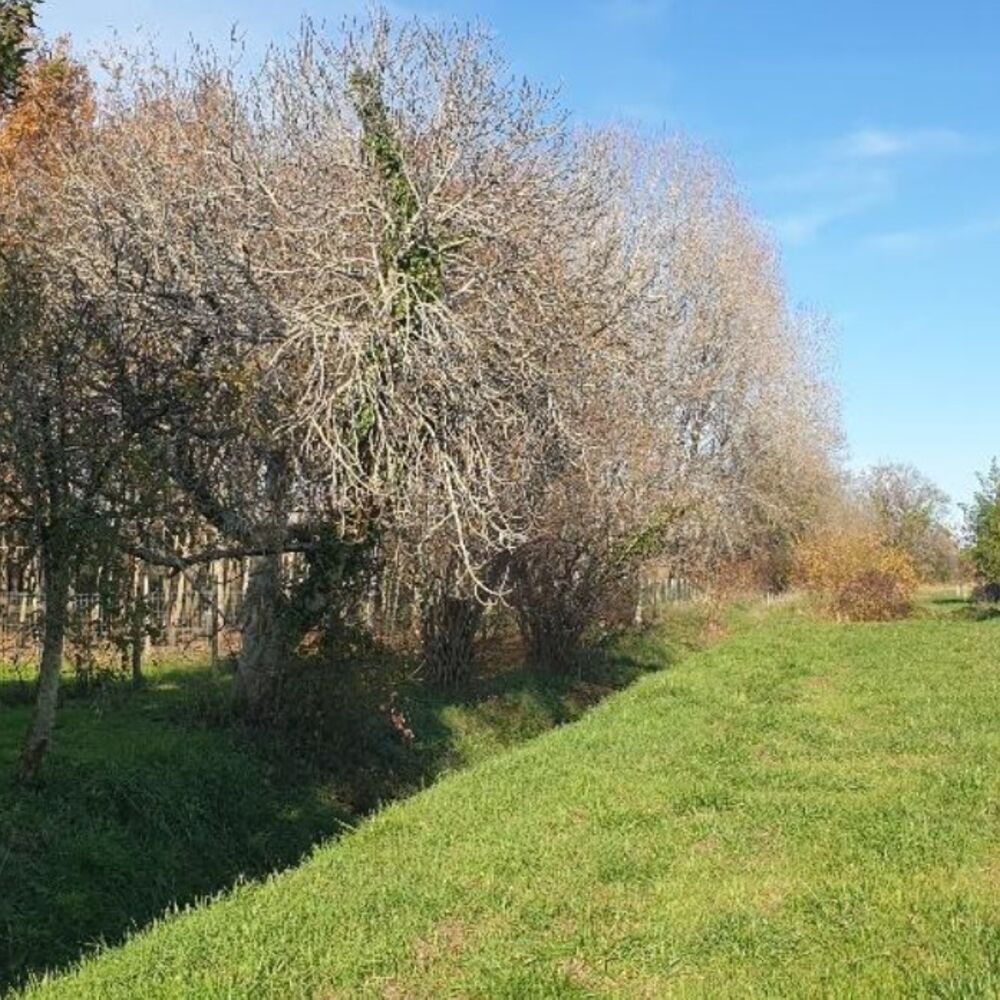 Jalle du Fourat au chemin du milieu, 2025