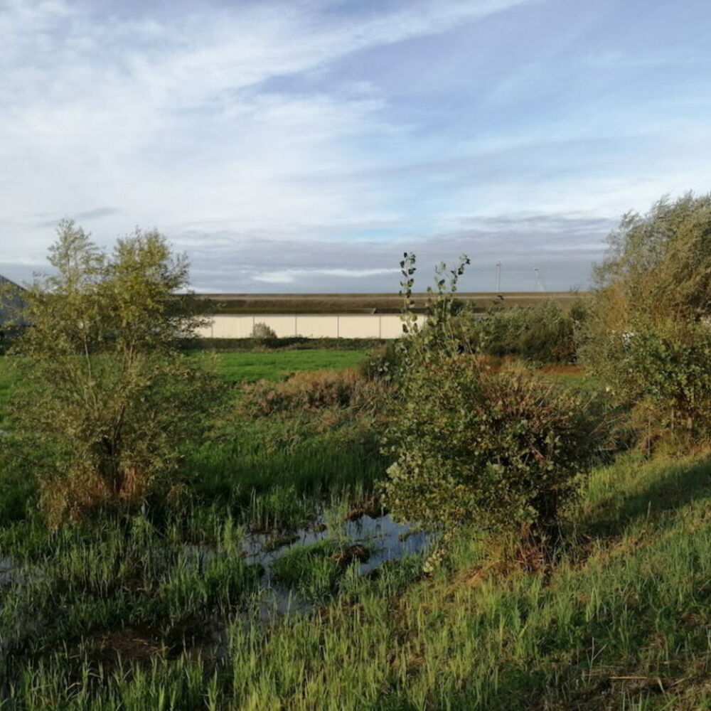 Bassin de l'estey Rabey