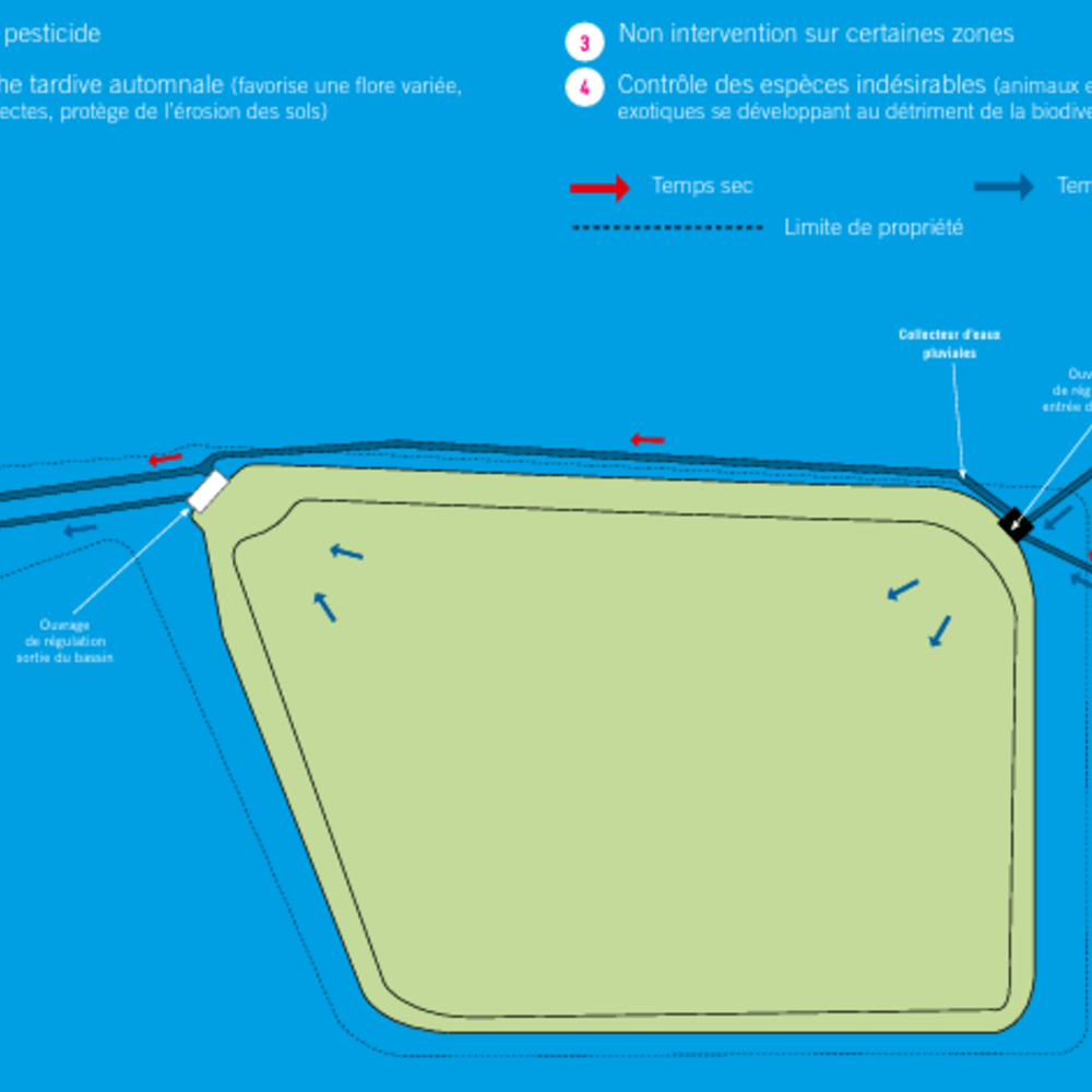 Schéma du fonctionnement du bassin de retenue