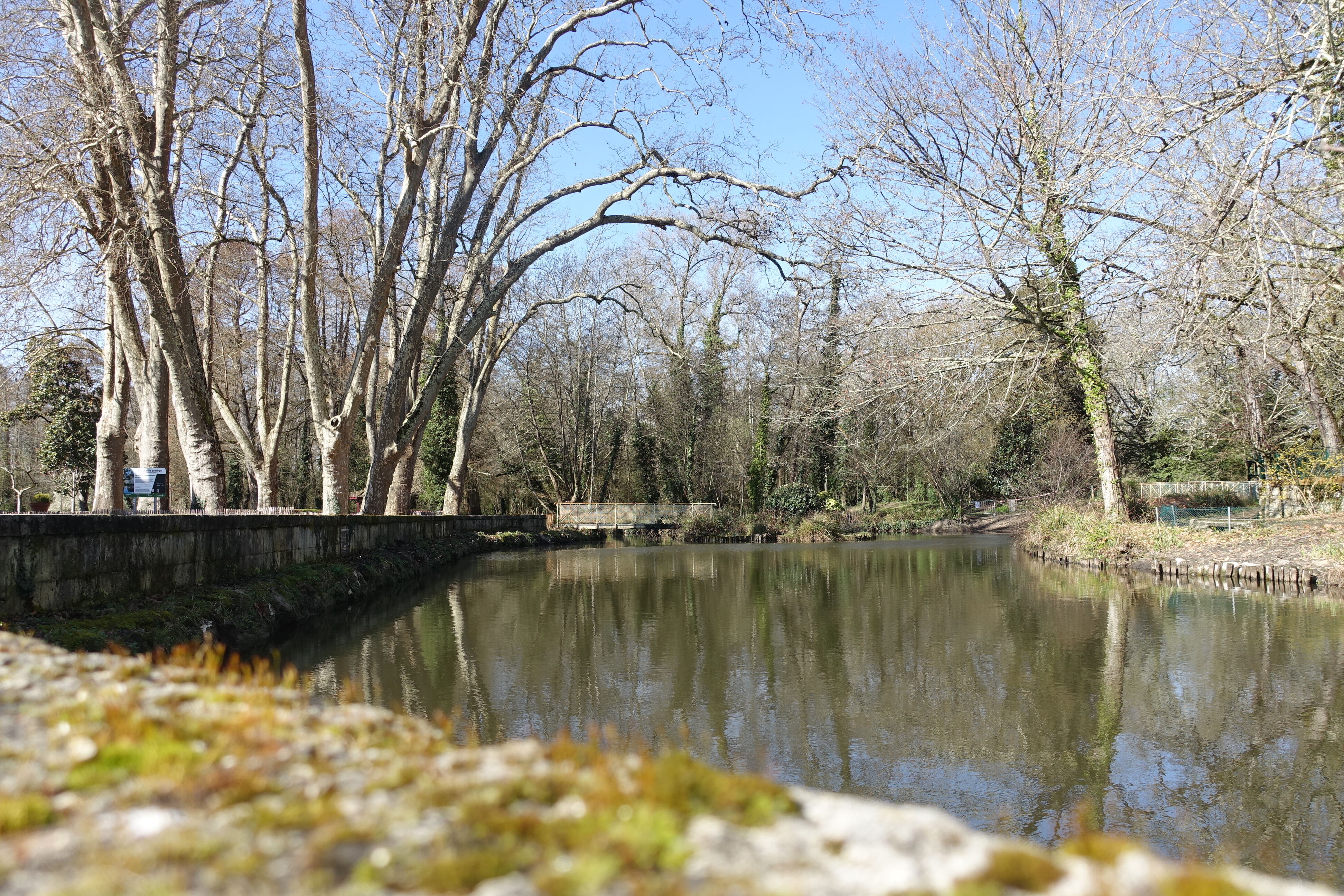 l'eau Bourde au prieuré de Cayac, 2022_MFP