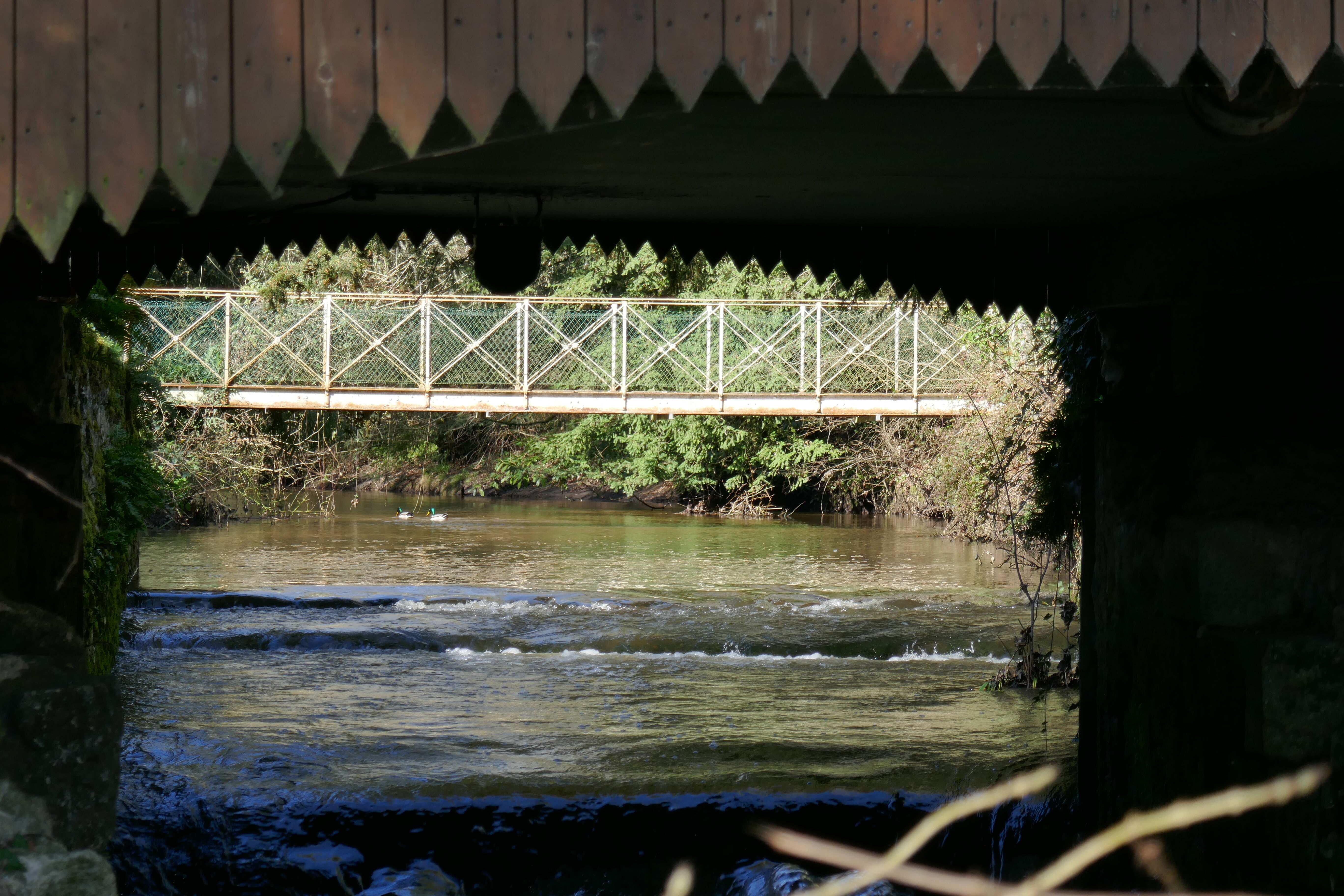 l'eau Bourde passant sous un moulin, 2022_FG