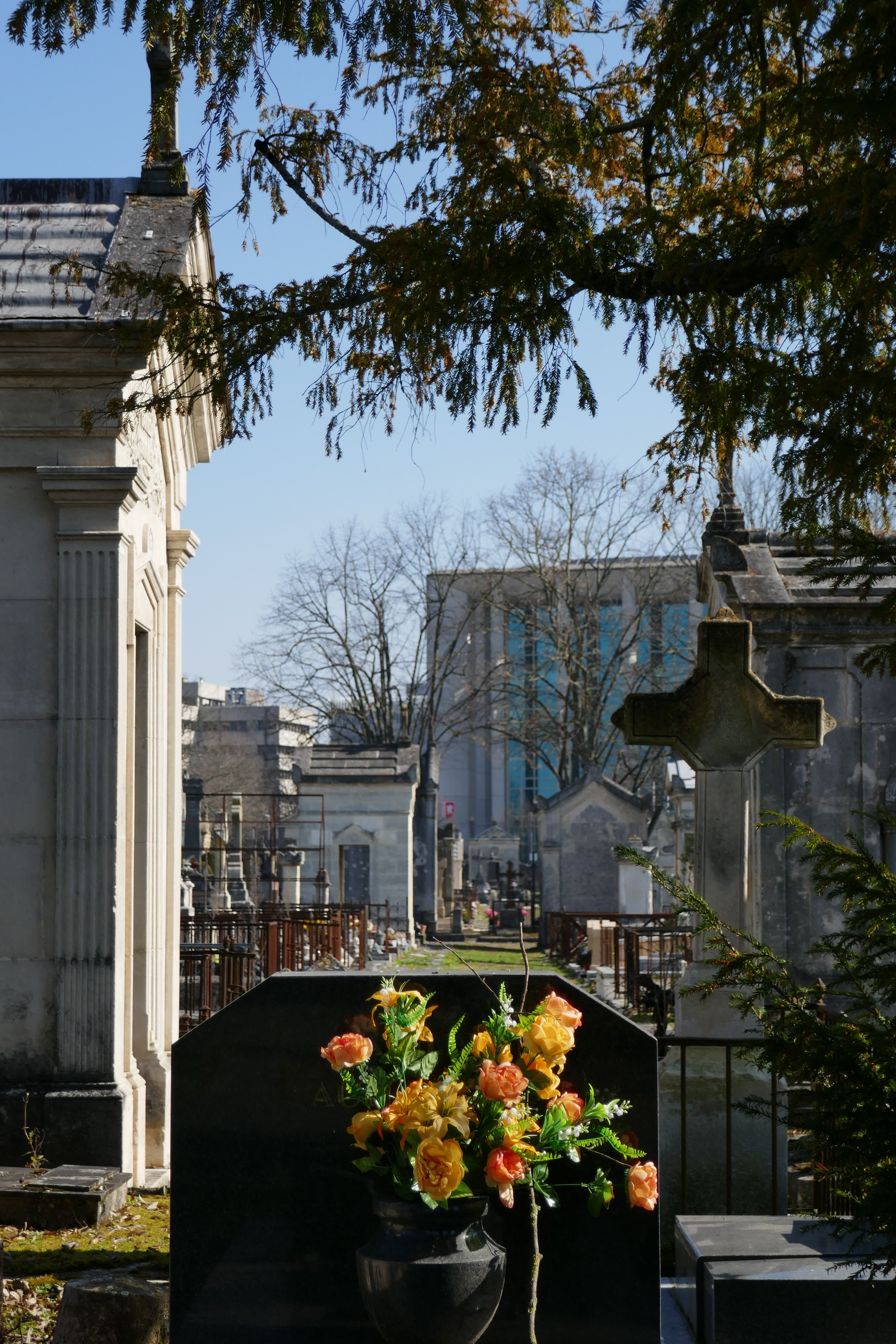 le cimetière avec, au fond, le quartier Meriadeck, 2022_FG