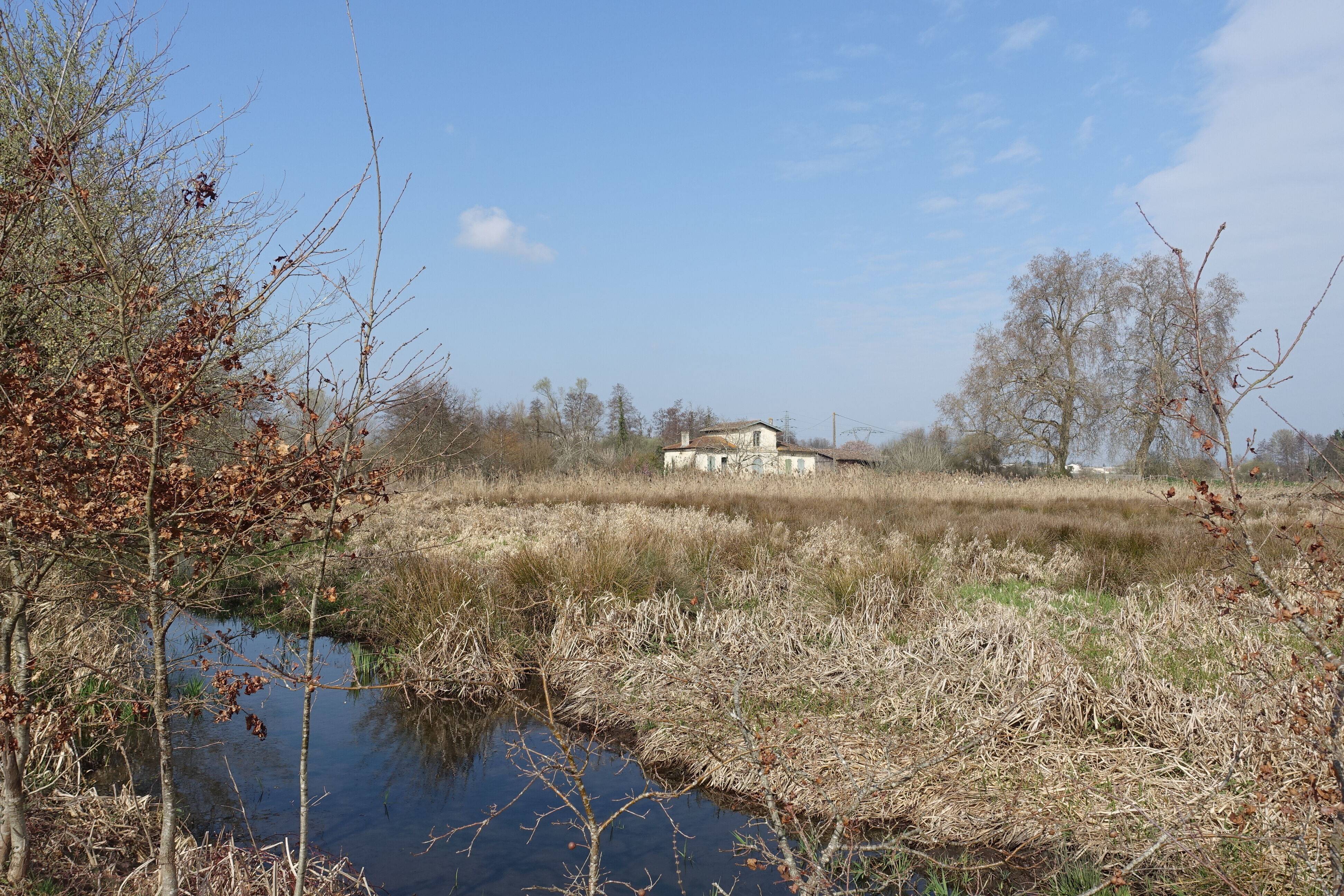 point de vue depuis un fossé, 2022_MFP