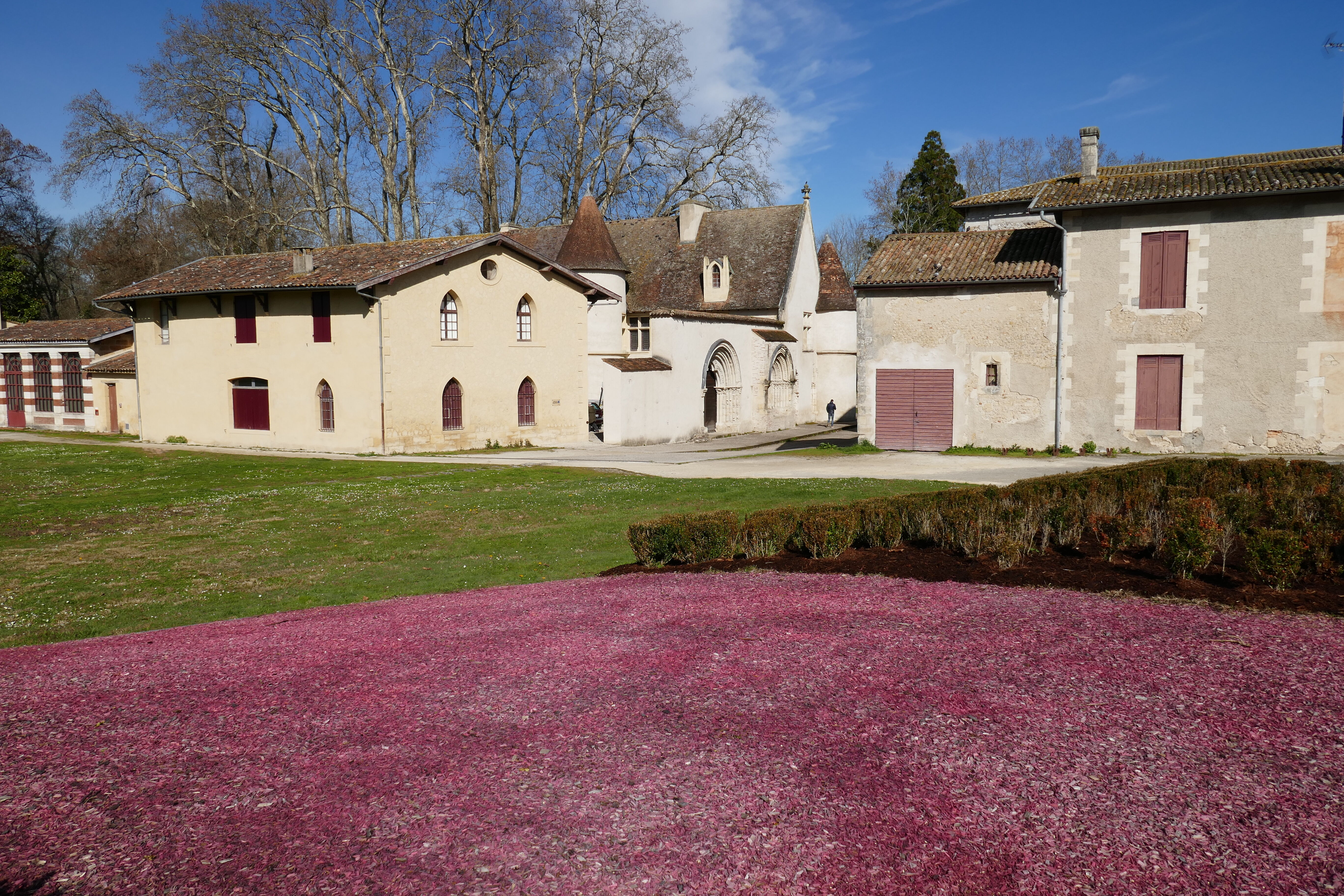 vue d'ensemble, depuis le sud, 2022_FG