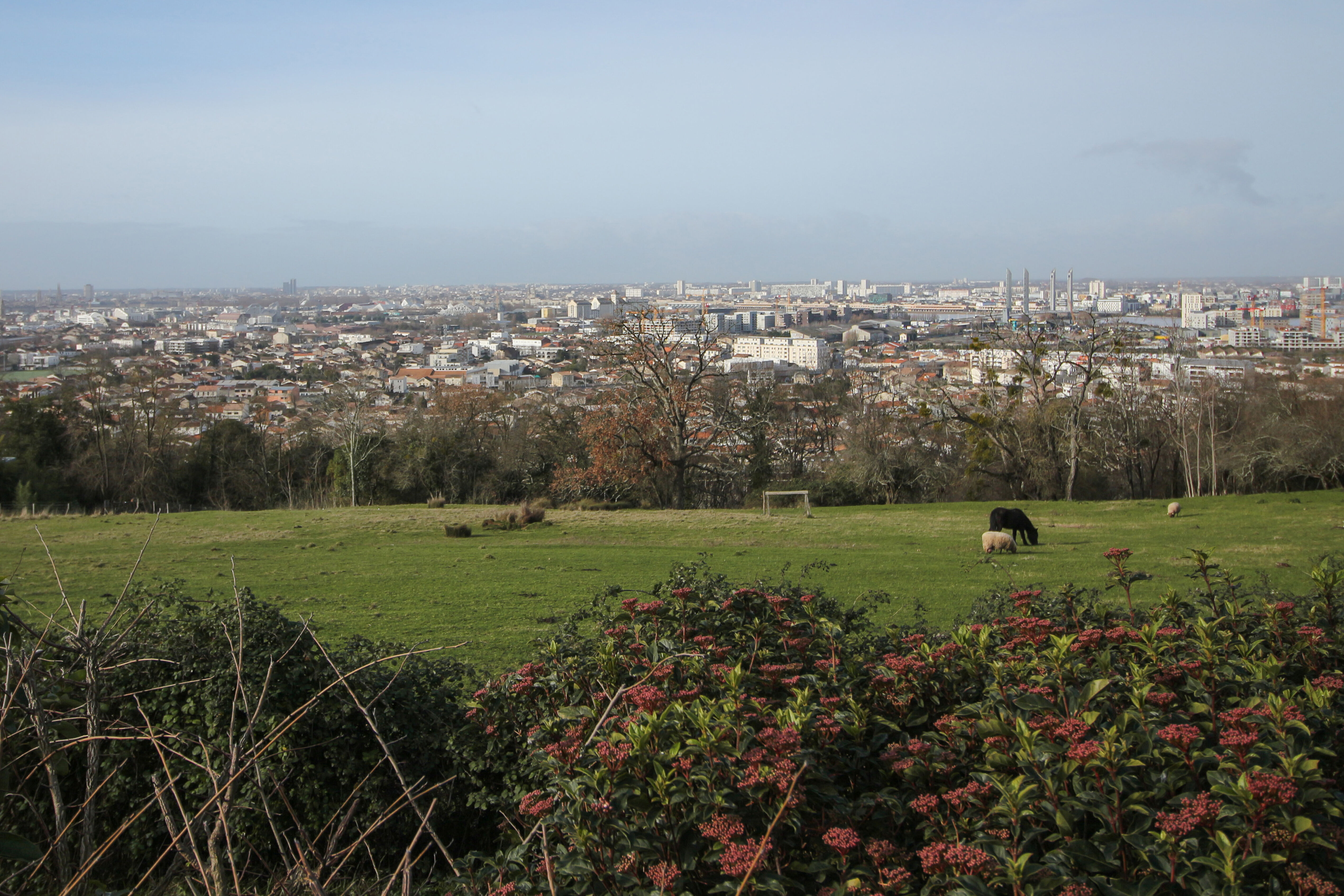 Vue depuis le haut du coteau Cenon, en 2023