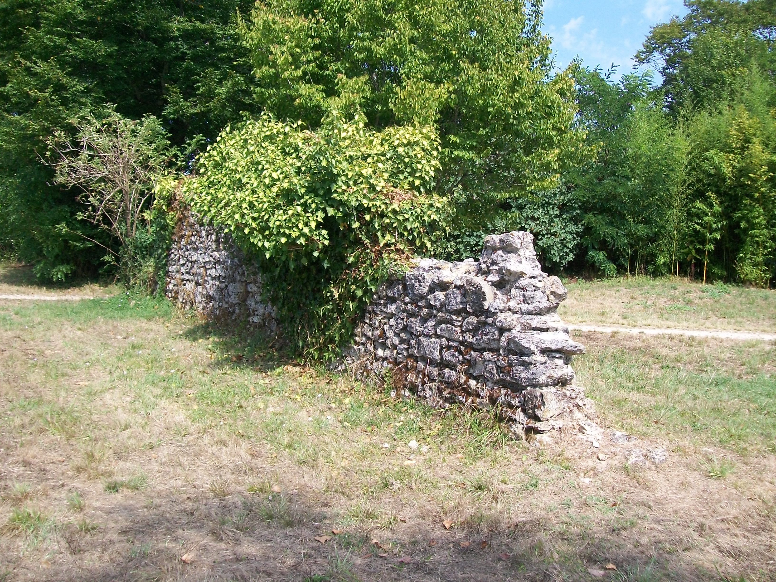 un pan de mur en ruines sous la végétation...