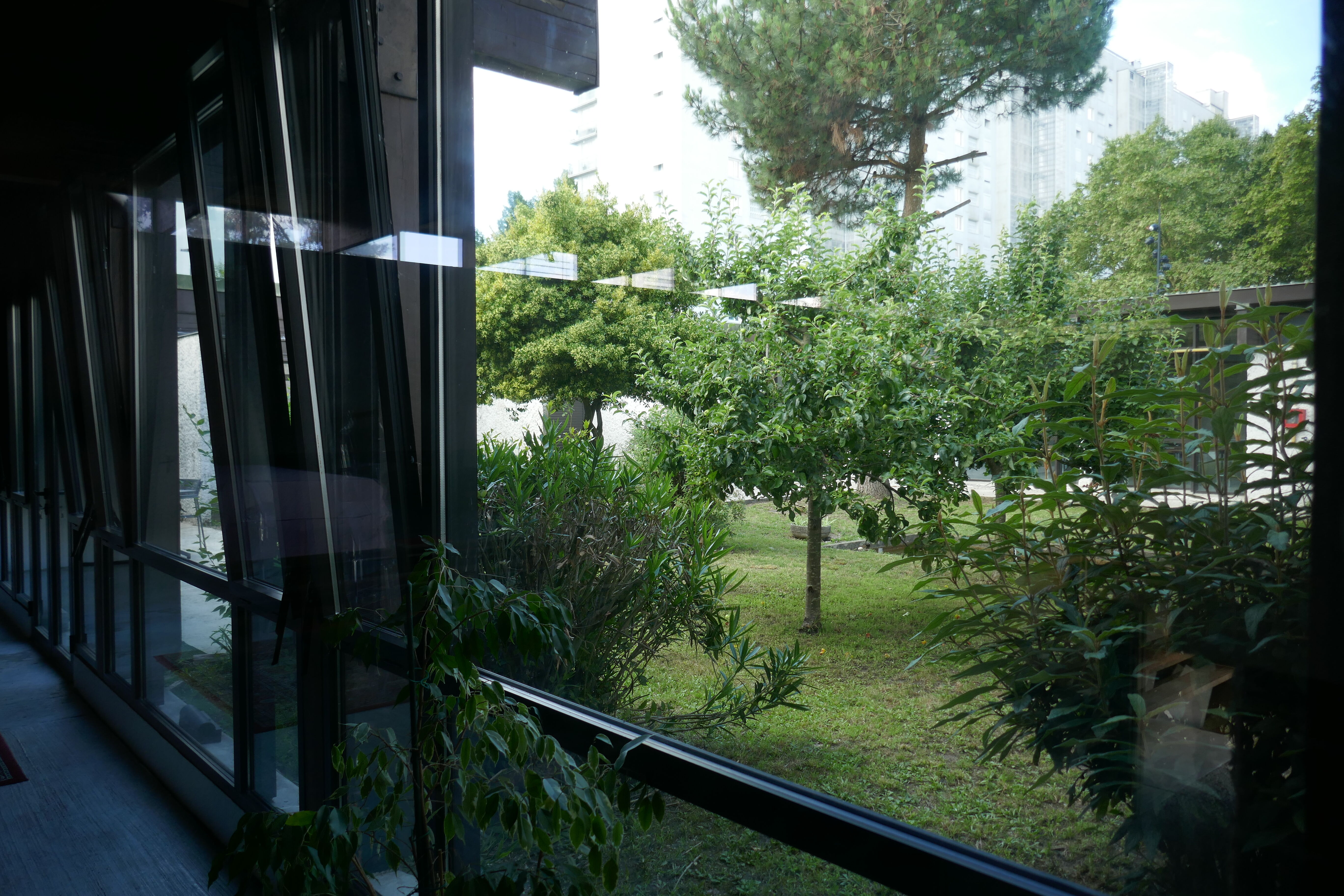 Le patio arboré, vue depuis la chapelle.