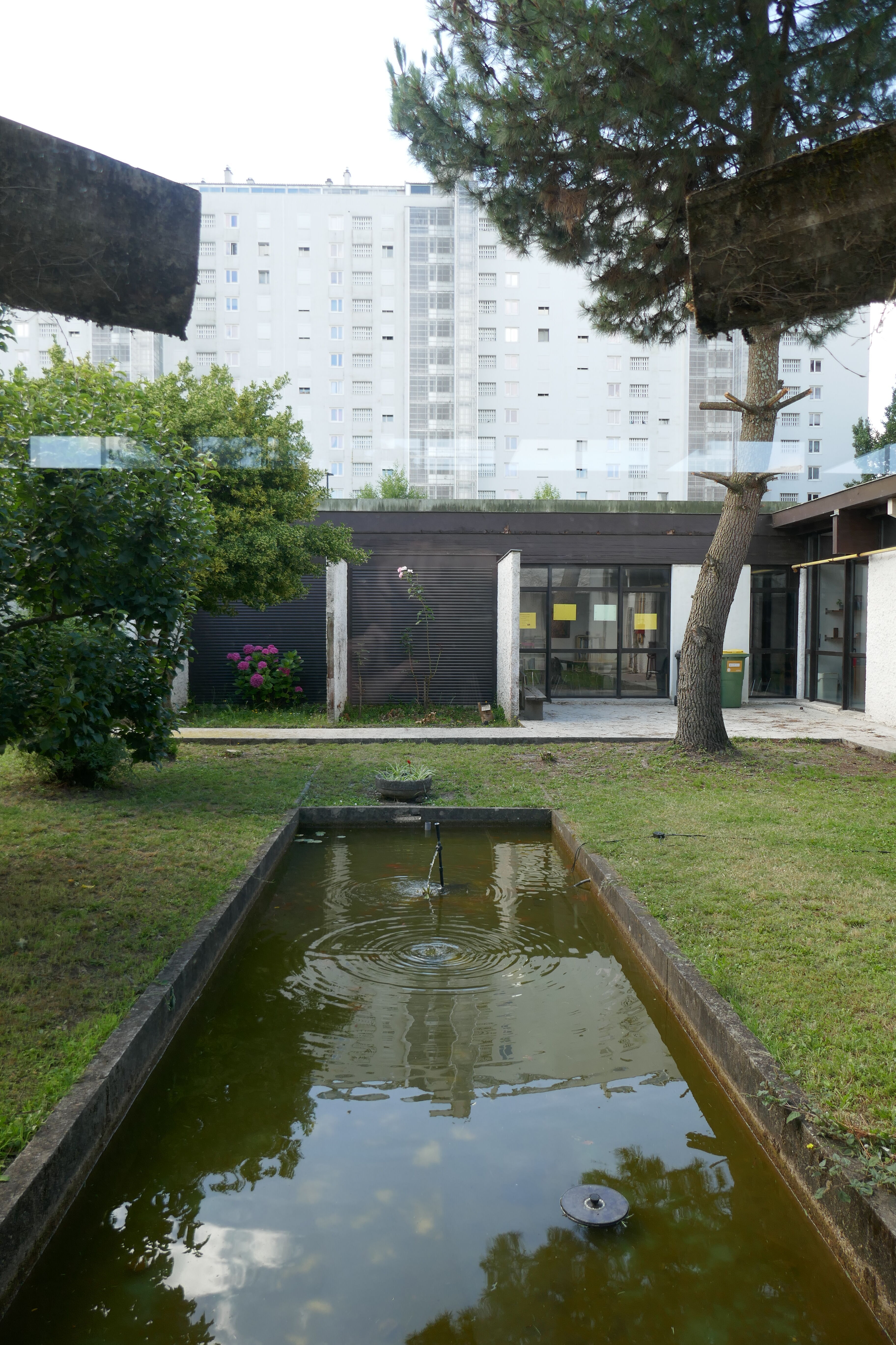 Le patio arboré avec le vivier, vue depuis la nef.