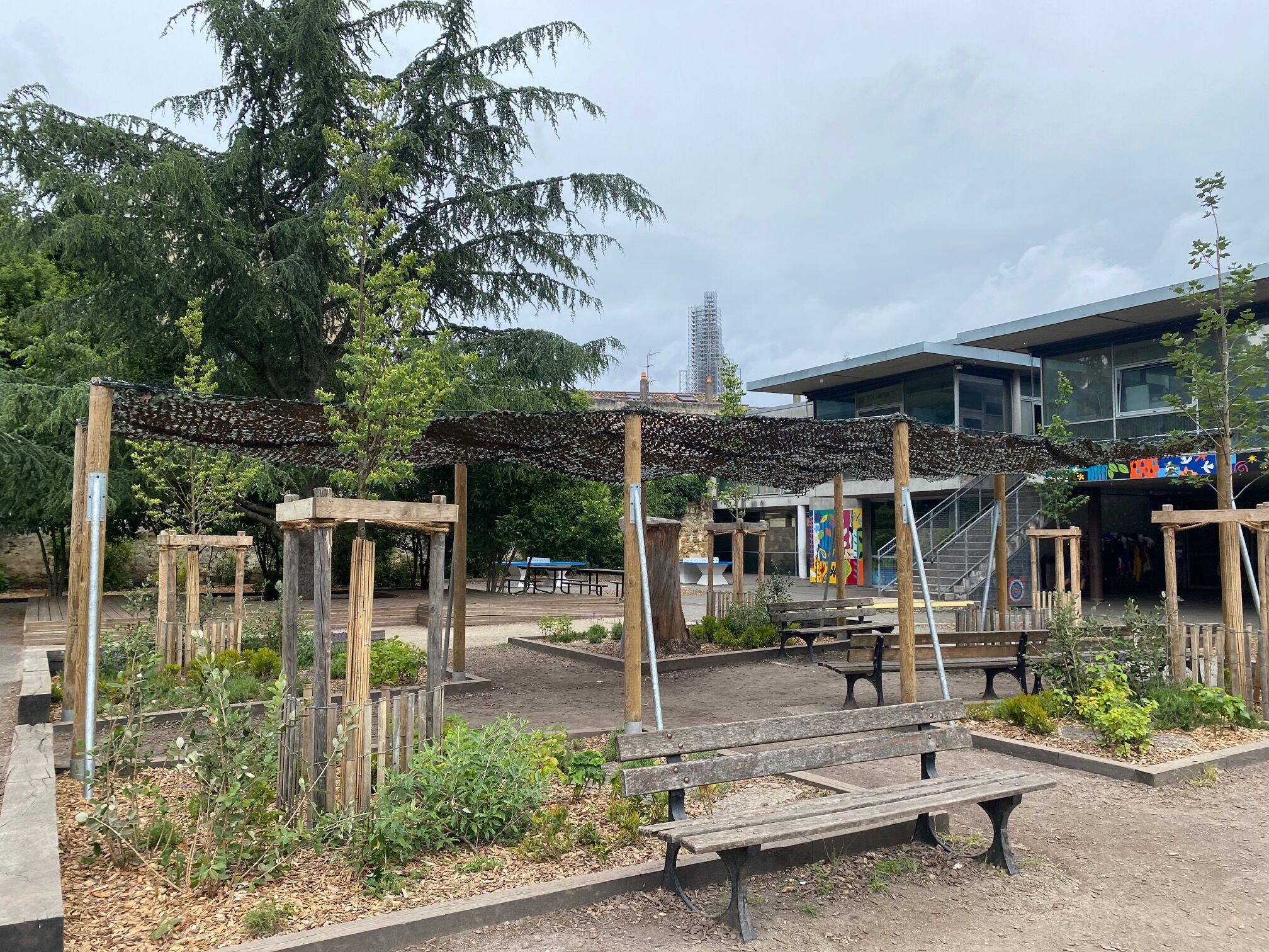 L'école primaire vu depuis la nouvelle cour arborée.