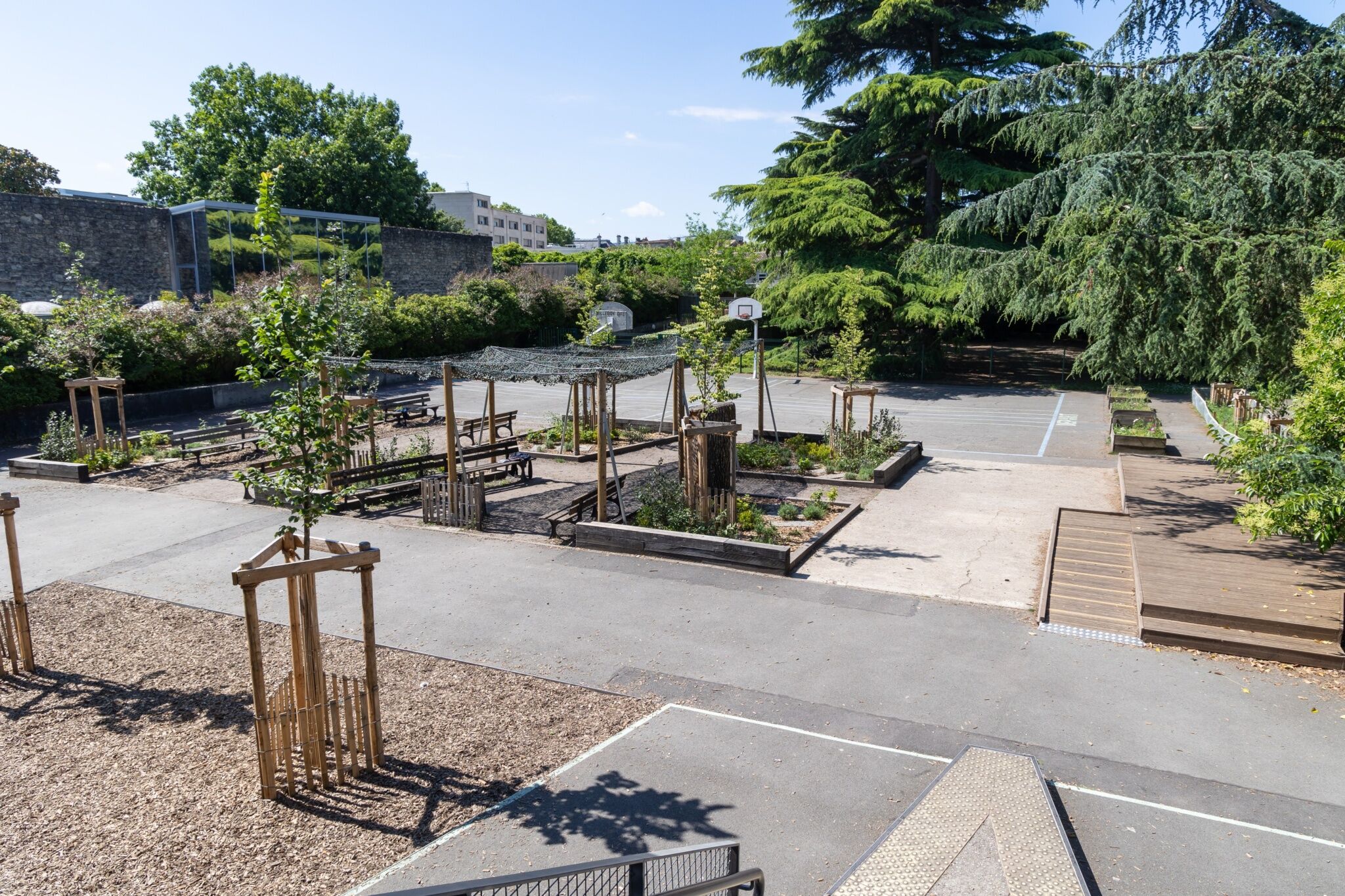 La nouvelle cour arborée de l'école primaire.