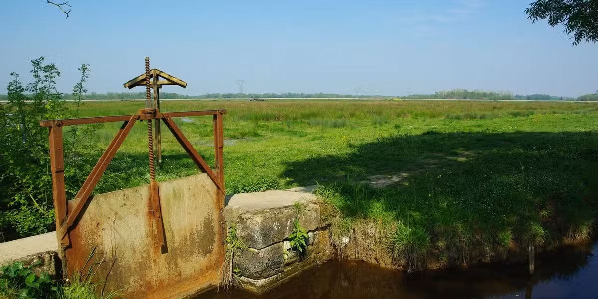 Une jale du Grand Marais. 