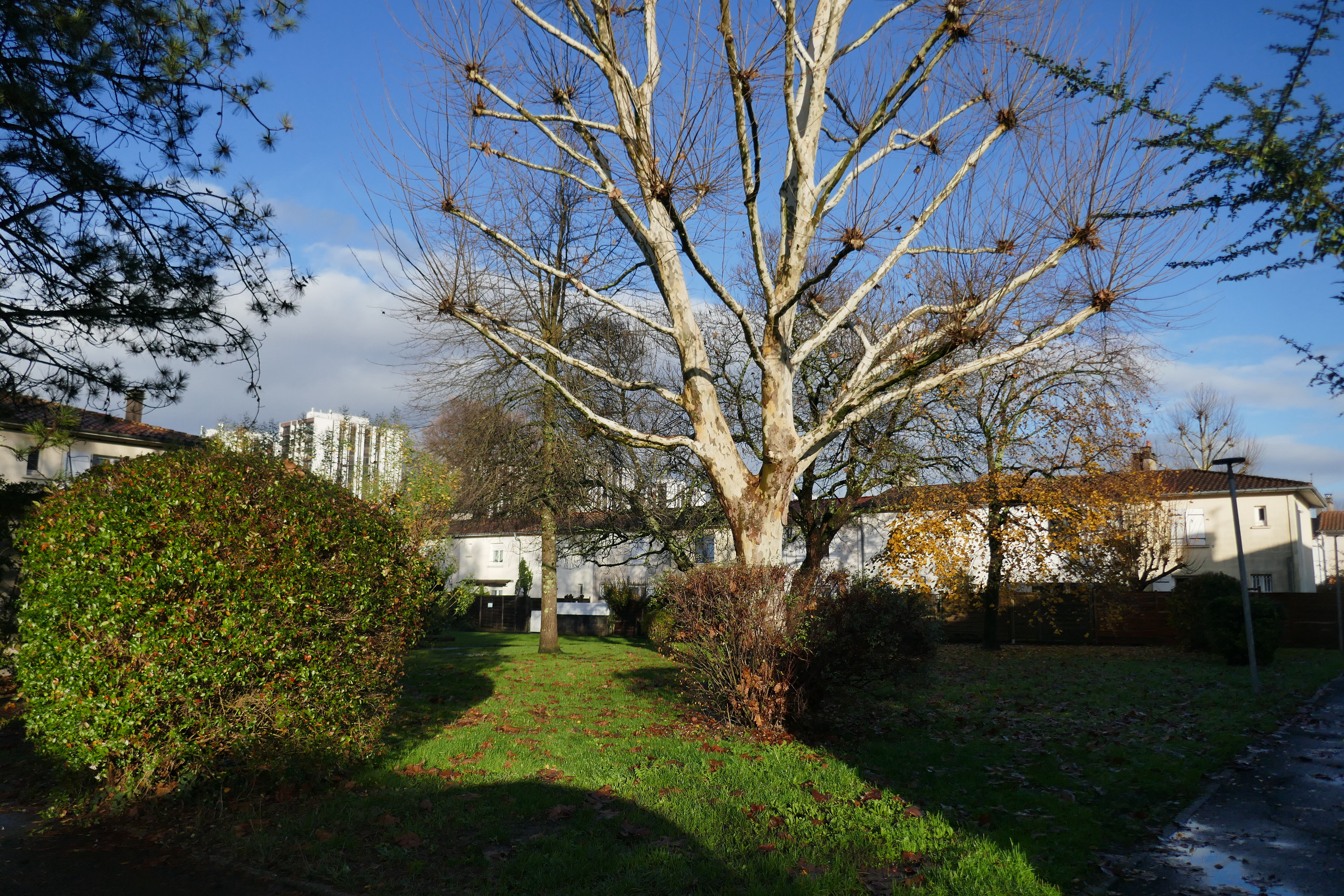 L'un des jardins collectifs de l'opération "Domaine de Saige".